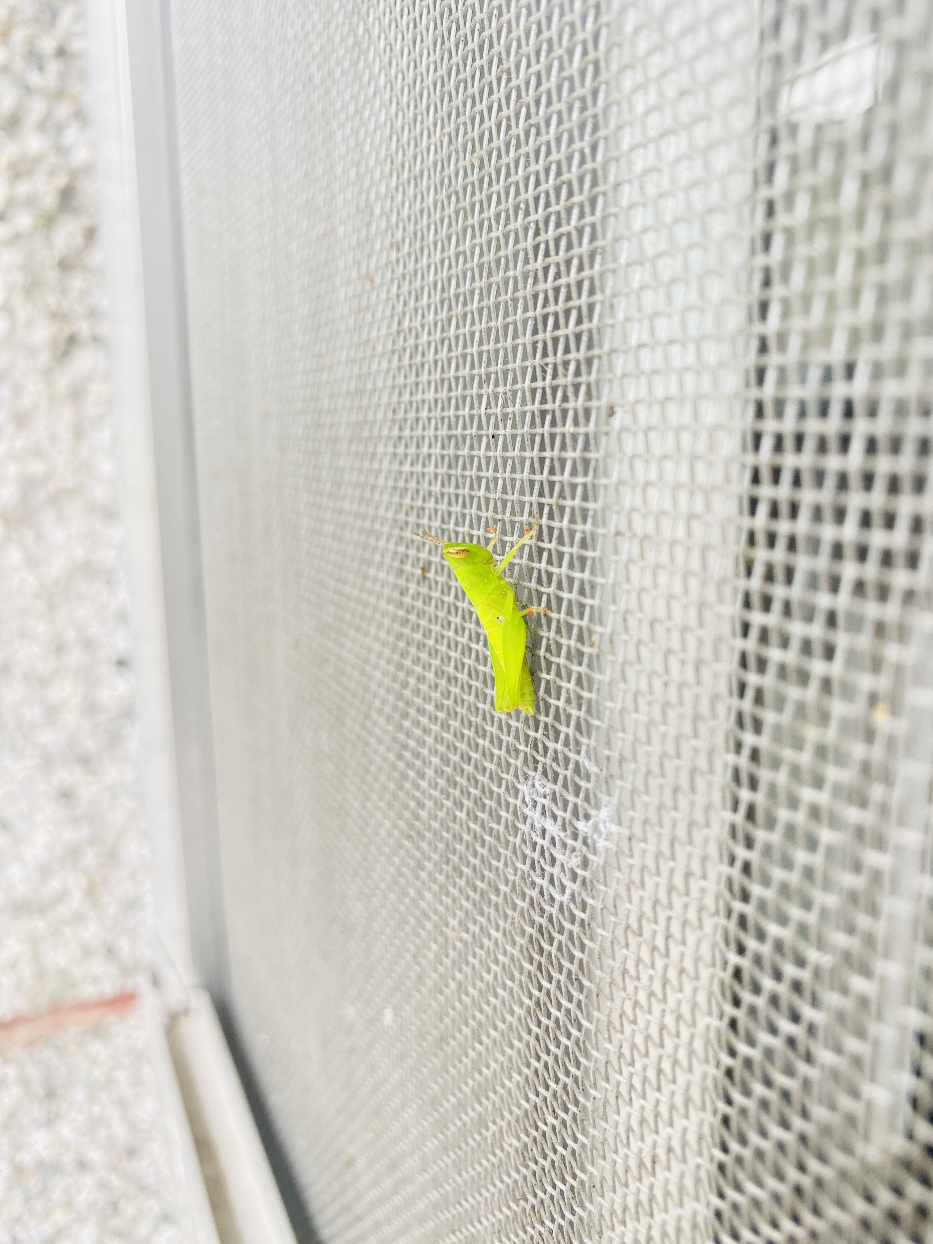 環境管理照片 4