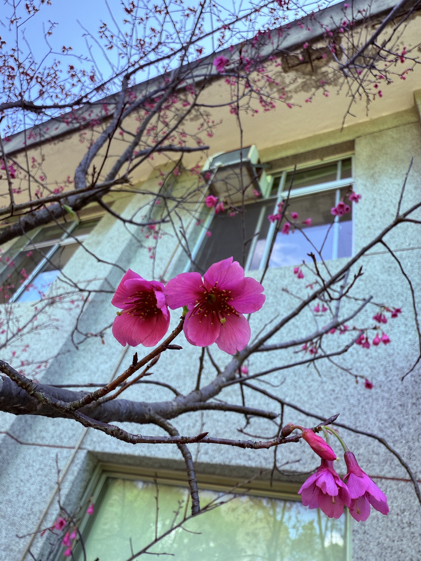 環境管理照片 3