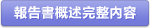 報告書概述完整內容